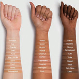 کرم پودر مات شیگلم مدل Complexion Pro