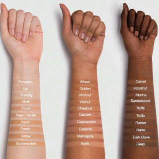 کرم پودر مات شیگلم مدل Complexion Pro